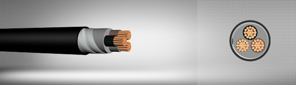 0.6/1 kV PVC Insulated, Double Steel Tape Armoured, Multi-Core Cables With Copper Conductor